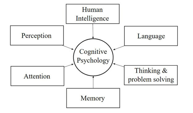 روانشناسی شناختی به‌طور علمی چگونگی فکرکردن انسان را مطالعه می‌کند
